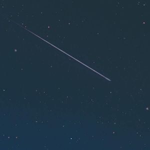 Meet your Posher, Bryan